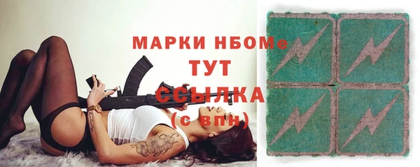 индика Беломорск