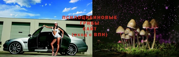 прущие крисы Белокуриха