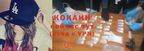 стафф Каменногорск