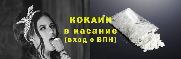 индика Беломорск