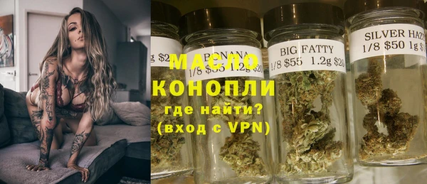 индика Беломорск