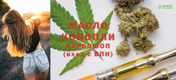 индика Беломорск