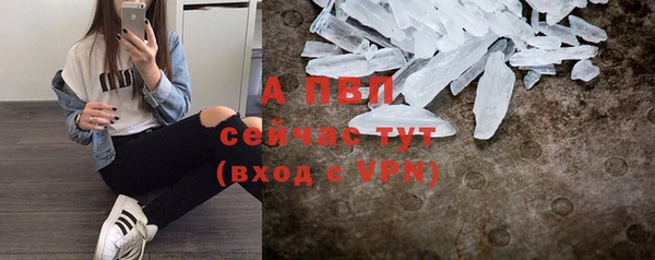 прущие крисы Белокуриха