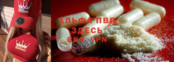 индика Беломорск
