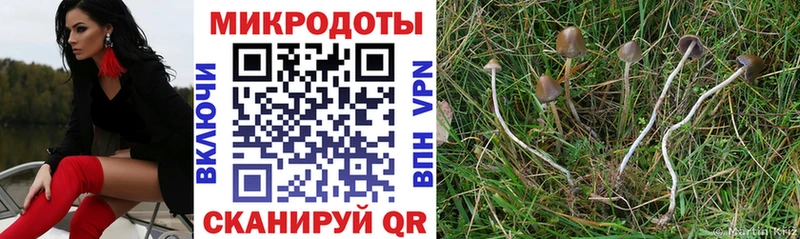 Купить  Новодвинск  Псилоцибиновые грибы GOLDEN TEACHER 